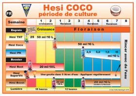 Schema de culture HESI Coco